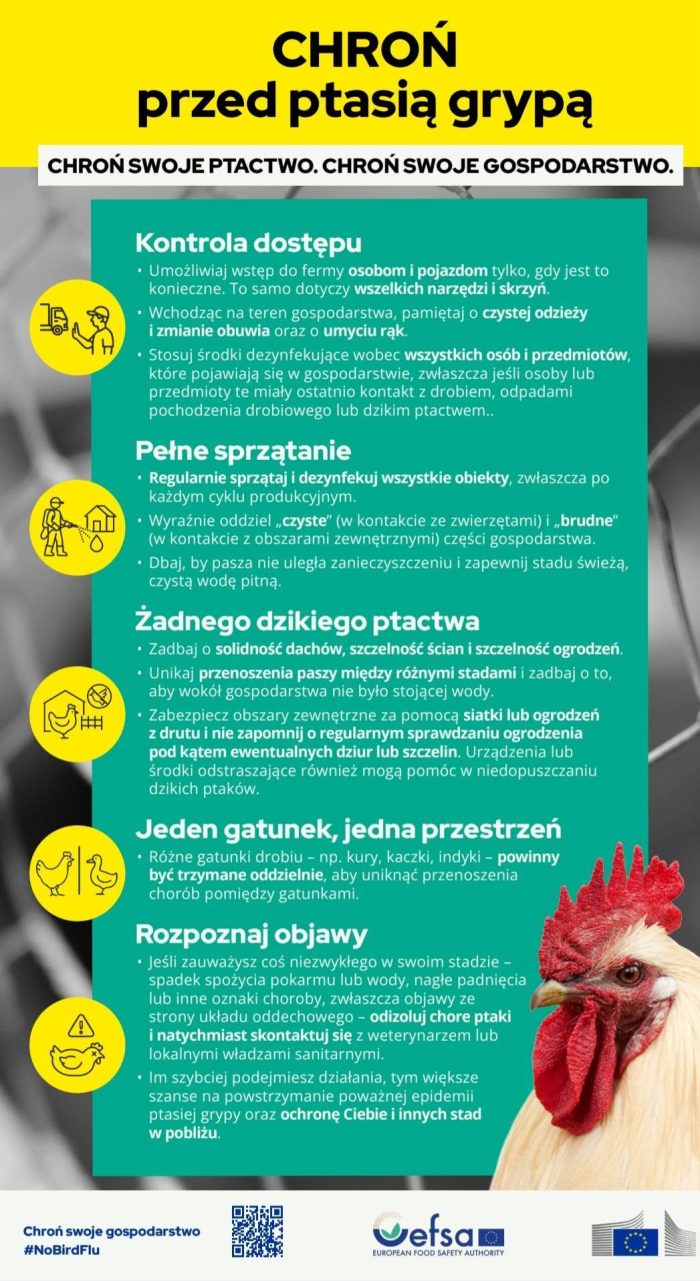 Miniaturka artykułu Kampania #NoBirdFlu – ochroń swoje gospodarstwo przed grypą ptaków